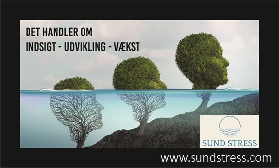 SUNDSTRESS Følelsesmæssig intelligens gør dig istand til selv at vælge den hensigtsmæssig adfærd på vores følelser. Følelsesmæssige intelligens giver dig evnen i at du kan disponere din bevidsthed og du regulere selv dine følelser, tanker og adfærd. At udnytte og bruge følelsesmæssig intelligens kan læres hos Mads Sebbelov
