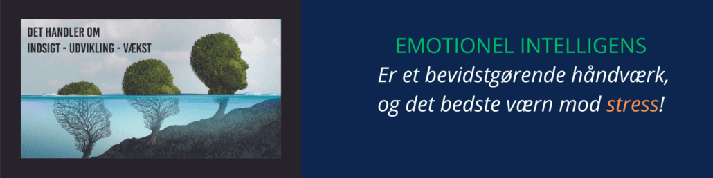 Book et forløb |Ring 40818582 |Mads Sebbelov